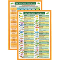 Bach Flower Remedies Mini Chart