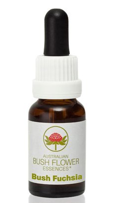 Bush Fuchsia - Australian Bush Flower Essence Stock Bottle Remedy - 15mL