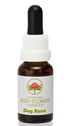 Dog Rose - Australian Bush Flower Essence Stock Bottle Remedy - 15mL