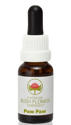 Paw Paw - Australian Bush Flower Essence Stock Bottle Remedy - 15mL