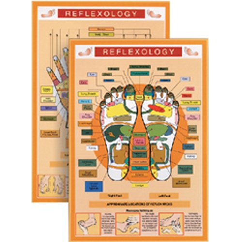 Reflexology Mini Chart