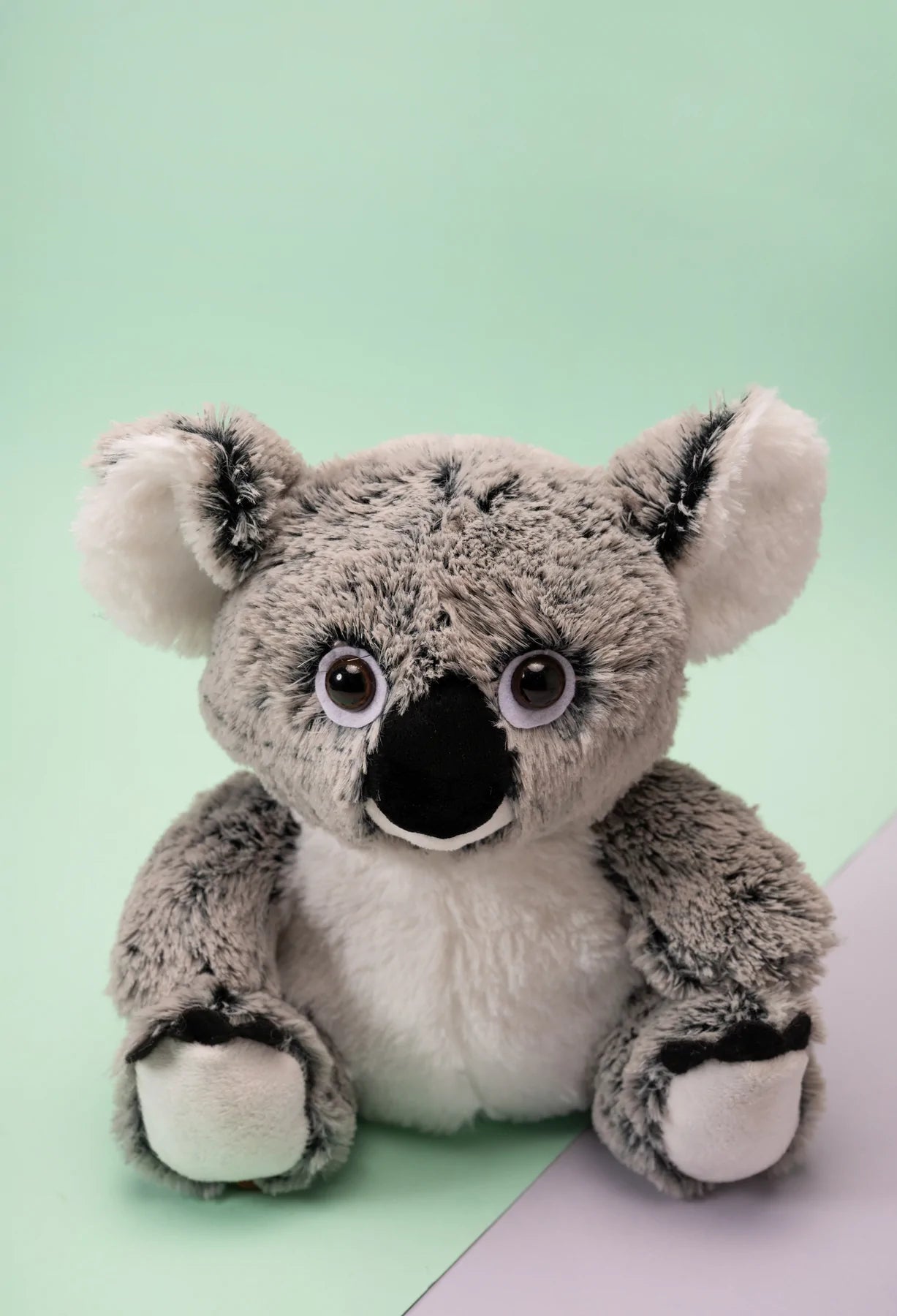 Ener-Bear Teddy and Koala