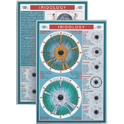 Iridology Mini Chart