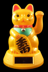 Welcoming Lucky Money Cat