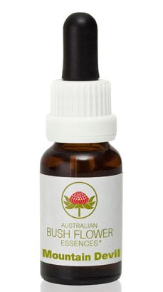 Mountain Devil - Australian Bush Flower Essence Stock Bottle Remedy - 15mL