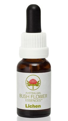 Lichen - Australian Bush Flower Essence Stock Bottle Remedy - 15mL