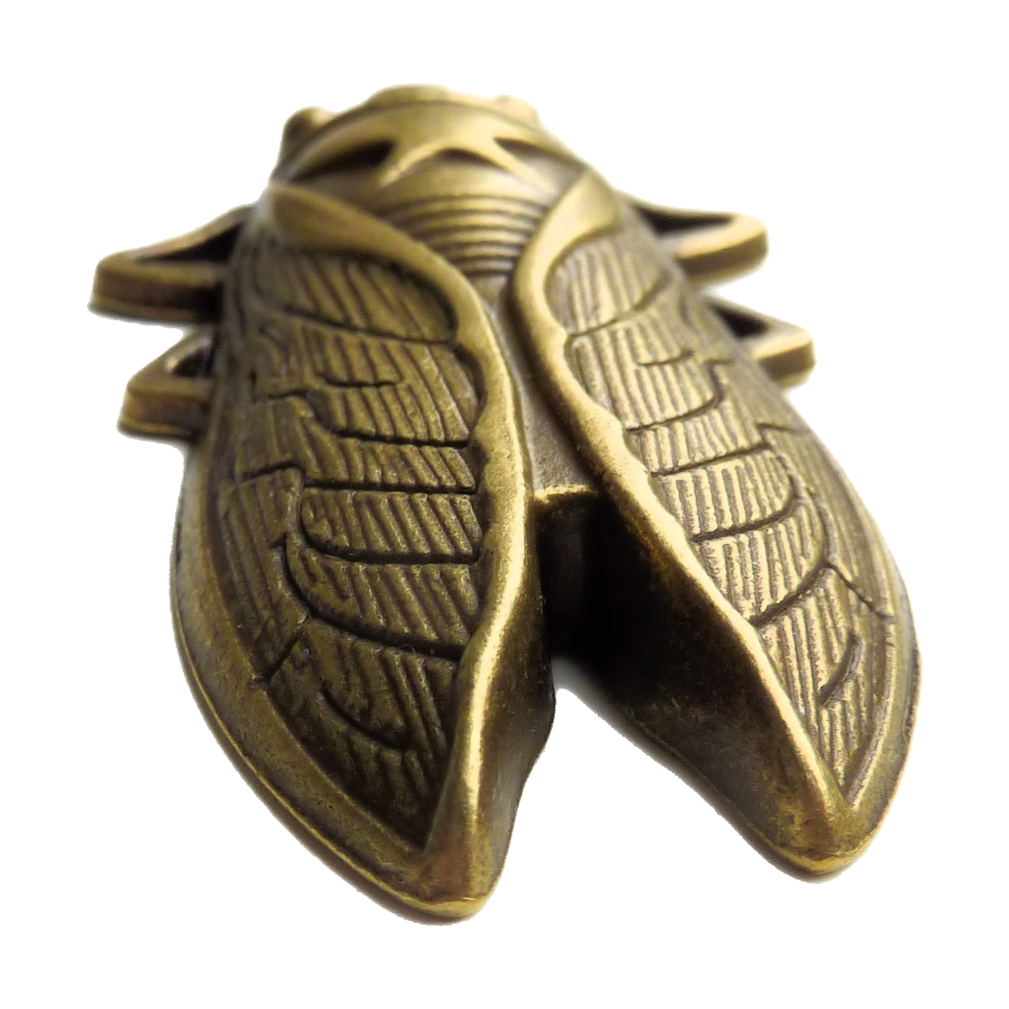 Brass Colored Cicada for Protection