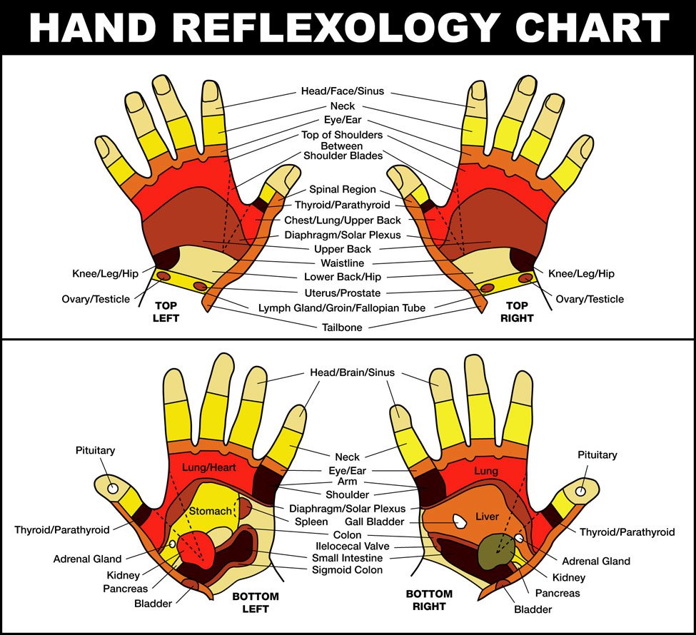 Acu-Ring Acupressure Finger Massage Ring