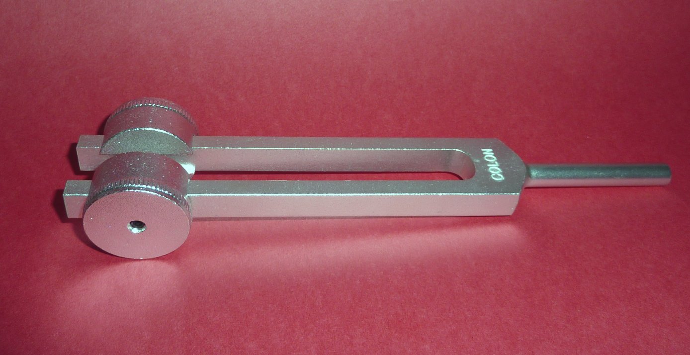 Human Organ Tuning Forks (Weighted)